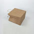 bags kraft paper bags with handles waterproof gift Welm