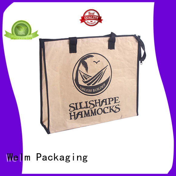 dried paper bags with handles with die cut handle for sale