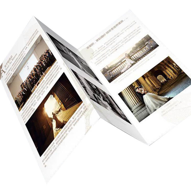 Coated Paper Printing 3 Fold Manual Brochure-3