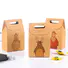 Welm kraft brown paper grocery bags supply for shopping