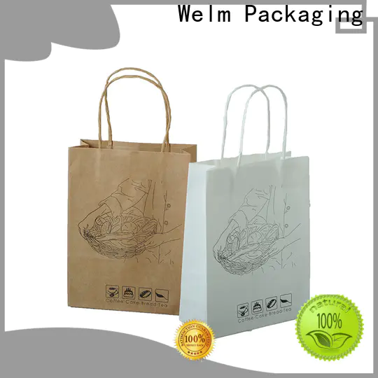Welm greaseproof plain brown paper bags with handles with gold logo print for shopping