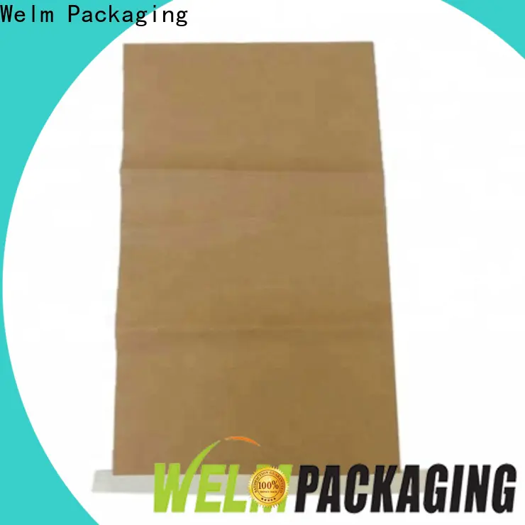 Welm fruit packing brown paper gift bags with handles food for gift shopping