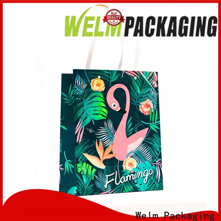 Welm food printed paper bags with handles company for gift shopping