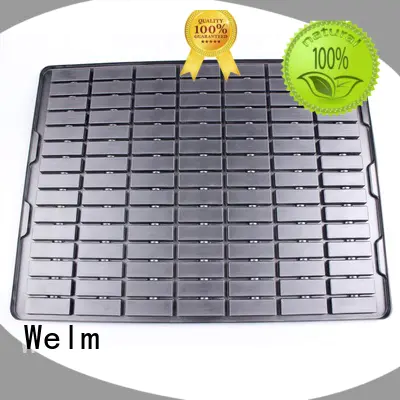 Welm wheels lettuce clamshell packaging supermarket fruit display for cosmetics and toy