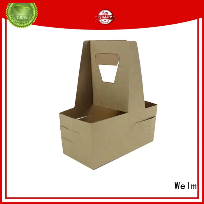 Welm printing insulated packaging boxes suppliers for gift