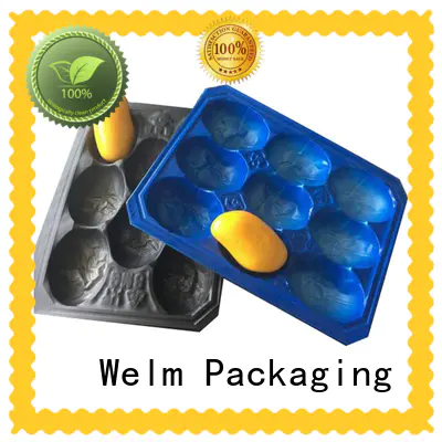 Welm blister packaging manufacturers tray liner for mouse packaging